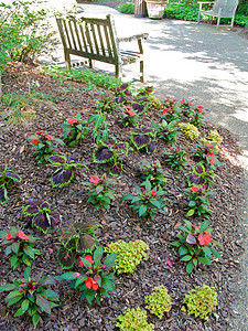 亚特兰大植物园植物园公园探索照片花园旅游植物正方形温室萝西图片