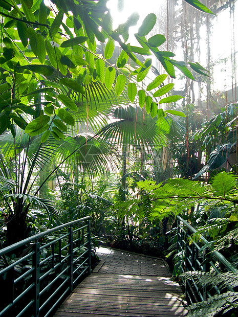 亚特兰大植物园花园太阳植物草地萝西旅游温室公园探索照片图片