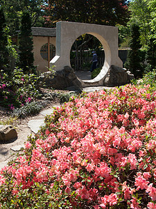 亚特兰大植物园植物照片公园太阳植物园花园生态旅游萝西正方形图片