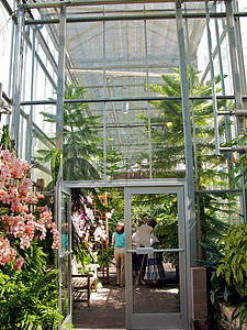 亚特兰大植物园旅游正方形萝西探索草地太阳植物植物园温室照片图片