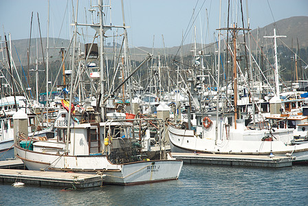 Bodega湾加利福尼亚沿海渔 渔村风景旅行旅游渔船图片