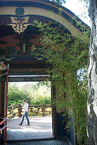 美国 加利福尼亚 旧金山 金门公园 日式茶园寺庙建筑花园目的地池塘结构庭园外观特色宗教图片