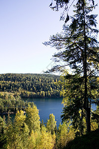 森林湖蓝色木头天空环境树木呼吸森林空气绿色图片
