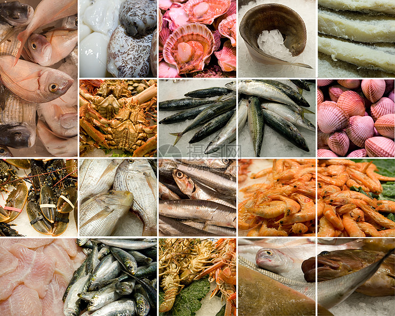 食物食品动物饮食栖息市场贝类鳕鱼龙虾甲壳海鲜牡蛎图片