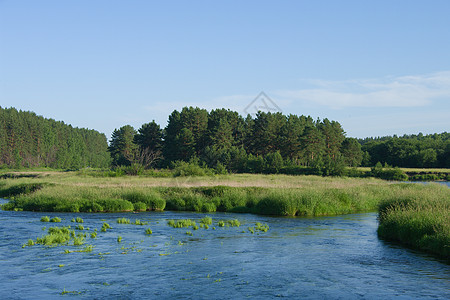清静的河流和草原蓝色天空风景环境草地土地全景地平线气候叶子图片