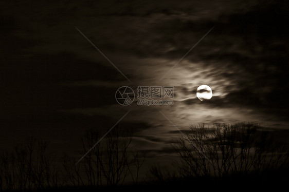 月出天际天空树木图片