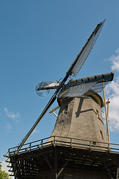 荷兰风车旅行旅游环境小麦粮食天空茅草谷物芦苇环保图片