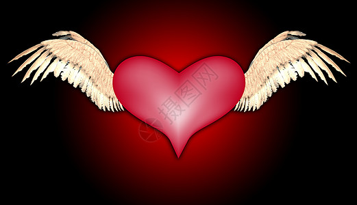 飞行心心情感热情心形航班情绪化概念羽毛红色翅膀背景图片