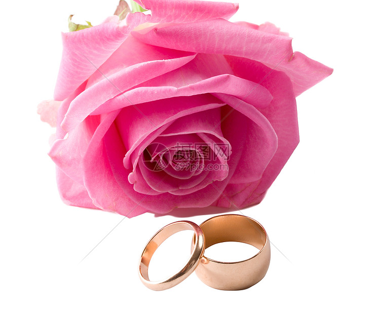近身粉红玫瑰和两个结婚戒指图片
