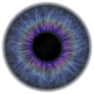 伊瑞斯眼睛身体光学眼球插图镜片睫毛黑色白色视网膜背景图片