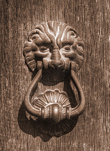 狮子头顶木头装饰品金属生物图片