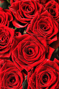 玫瑰花花瓣花束庆典季节宏观念日红色玫瑰香气礼物图片
