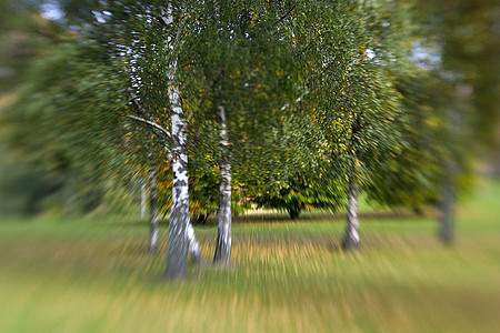 透视效果草地紫色斑点花园创意黄色森林树叶绿色摄影图片
