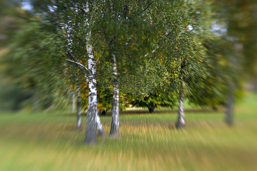 透视效果草地紫色斑点花园创意黄色森林树叶绿色摄影图片