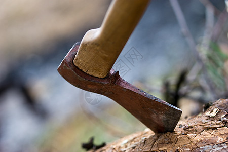 斧头宏观工具木头长椅假期荒野图片