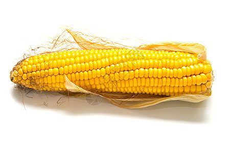 新鲜收获的玉米宏观谷物蔬菜食物叶子棒子黄色背景图片
