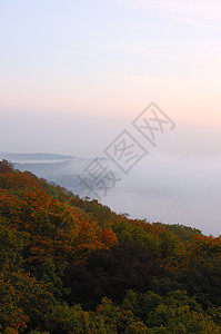 福吉Hazy森林白色蓝色木头绿色红色风景棕色荒野太阳灰色图片