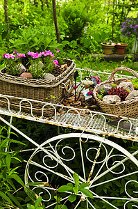 花园中的鲜花车装饰花朵阴影植物金属住宅园艺篮子装潢风格图片
