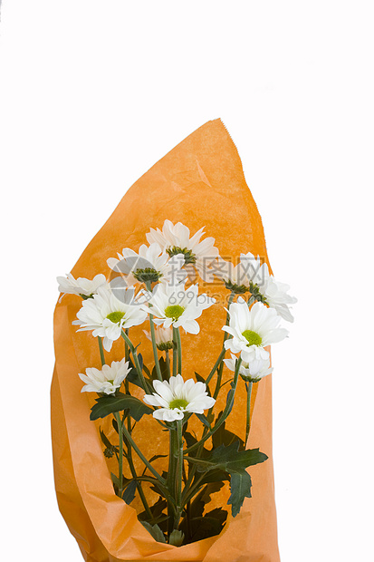 橙色包装中的白菊花花束图片