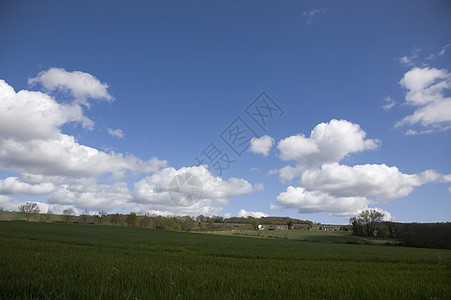 农地农村蓝色绿色乡村风景多云阳光天空图片