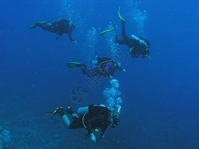 珊瑚礁上的多样化植物群呼吸管生活潜水员荒野动物浮潜反射野生动物浅滩图片