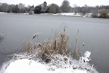 冬季湖场地天空季节池塘风景天气公园降雪雪景场景图片