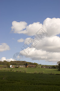 农田土地农场农村天空阳光风景绿色蓝色多云白色乡村图片