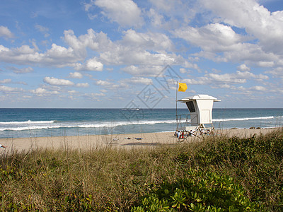 棕榈海滩阳光沙滩海滩背景图片