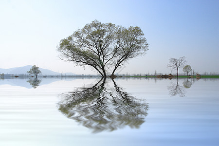 田野 荒野的风景小麦天气绿色环境小路植树孤独生长天空远山图片