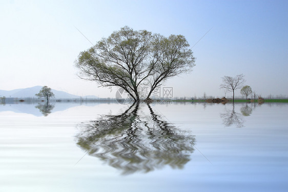 田野 荒野的风景小麦天气绿色环境小路植树孤独生长天空远山图片