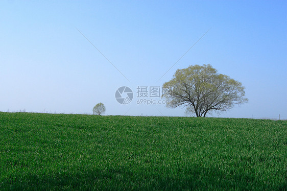 田野 荒野的风景生长风光小路孤独天空远山天气蓝色环境植树图片