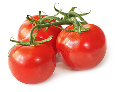 三个番茄水平桁架西红柿白色蔬菜食物照片传家水果图片