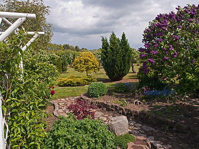 美丽的花园植物学园艺石头院子露台公园园林奢华植物小路图片