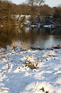 冬季湖冻结天气雪景场地风景国家树木降雪反思季节图片