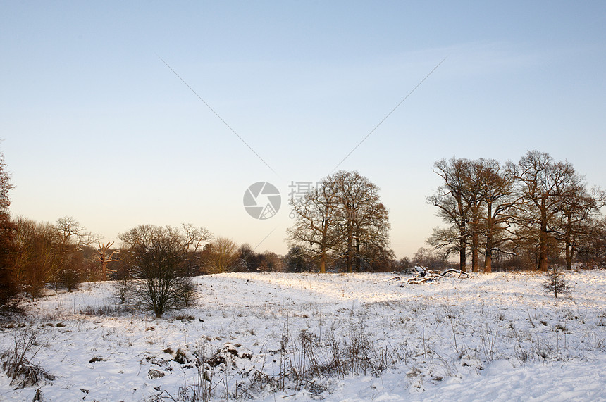 冬季公园冻结风景场景树木国家场地小路天空降雪曲目图片
