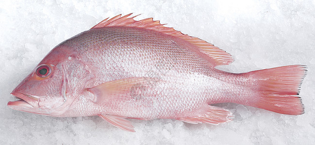 鱼食物熟鱼生活方式水平海鲜健康饮食市场图片