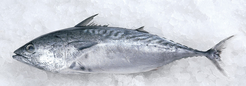 新鲜鱼市场白肉海鲜健康饮食水平生活方式食物图片