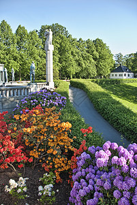 2009年5月 挪威奥斯陆草地的鲜花 2009年5月花瓣花园紫色绿色玫瑰白色图片