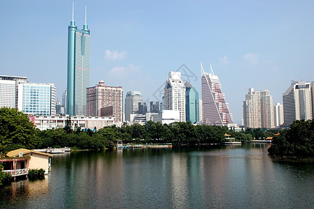 中国 深圳     城市风景图片