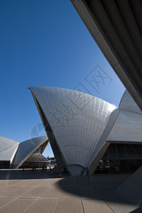 澳大利亚冬季早晨悉尼的详情 12月18日旅游建筑学天际天空建筑旅行风景城市地平线结构图片