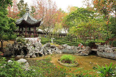 中华花园花园建筑石头蓝色天空池塘传统水池岩石树木图片