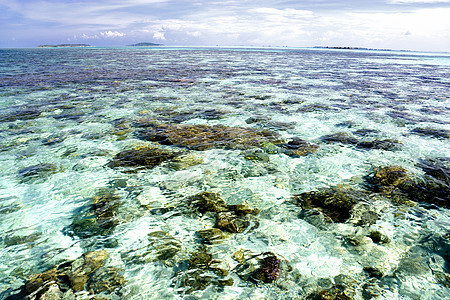 浅露海海峡浮潜蓝色反射地平线海岸天空珊瑚呼吸管情调图片