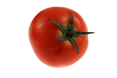 番茄食物市场红色公司藤蔓叶子生长薄雾绿色西红柿图片