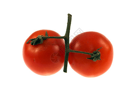 番茄飞沫植物生长农业藤蔓绿色市场薄雾饮食叶子图片