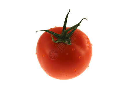 番茄红色公司蔬菜西红柿花园食物生产市场飞沫生长图片