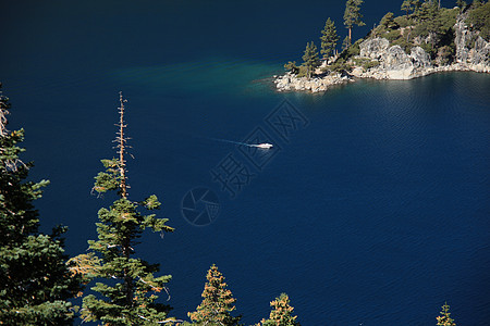 塔霍湖风景树木旅行蓝色旅游松树山脉森林图片