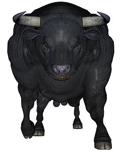 黑公牛传统黑色动物奶牛喇叭背景图片