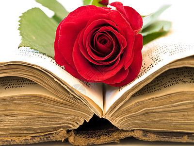 旧开放书花朵红色圣经婚礼精神宗教经文图片