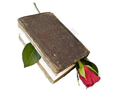 玫瑰经文精神太阳圣经宗教红色花朵婚礼图片