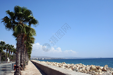 北塞浦路斯塞浦路斯海岸线和棕榈树背景